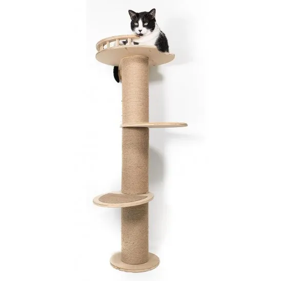 44-inch high wall cat climber
