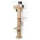 44-inch high wall cat climber