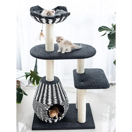 Three kittens on the tree