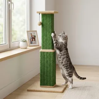 Carpet Cat Scratching Post with Perch for Full Stretching and Play