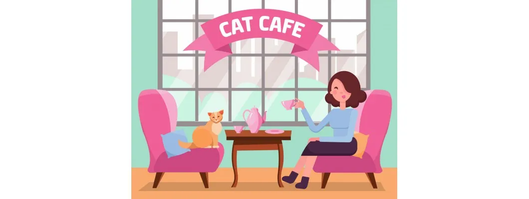 10 Cool Cat Cafes in the U.S. You Have to Visit