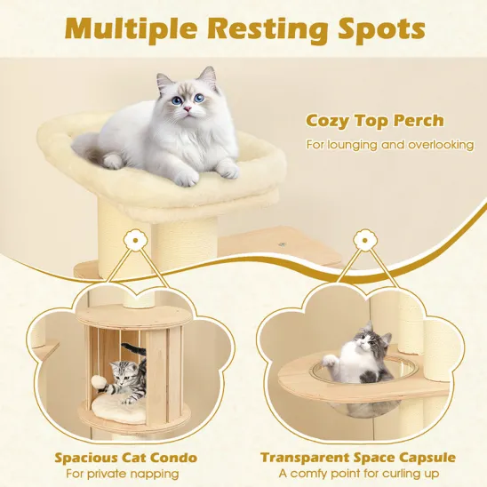 Cat condo and multiple resting spots