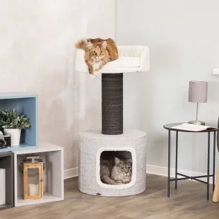 Cat Condo with Scratching Post and Bed