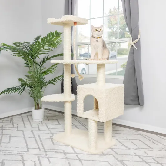 Cat Clawing Furniture with House, Perch & Rope