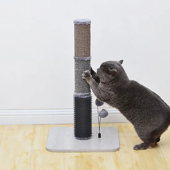 Cat is scratching the carpet post