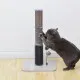 Cat is scratching the carpet post