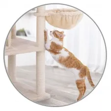 Cat Scratching Trees