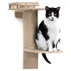 Cat stands on one of the perches