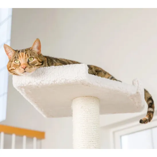 Top perch of the cat tower