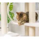 Cat tower with multiple sisal scratching posts