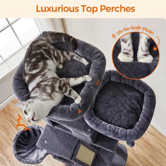 Two luxurious perches on top