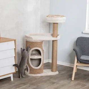 Unique Two Story Cat Condo Scratcher