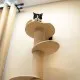 Cat tree for the wall