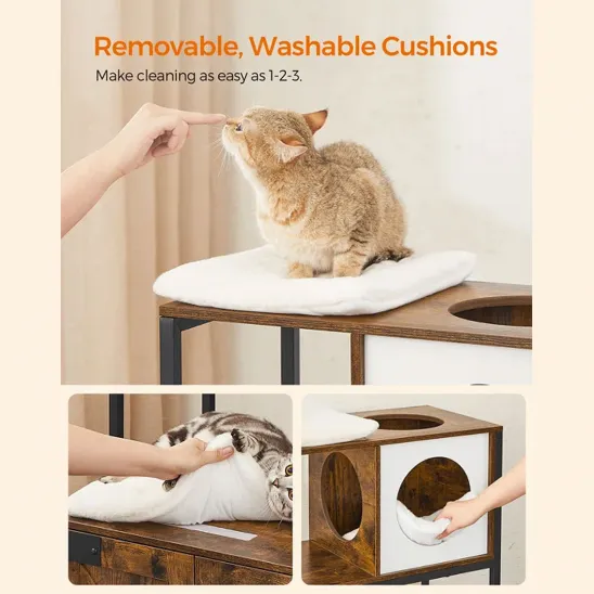 3 removable cushions