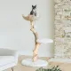Cat perch in white