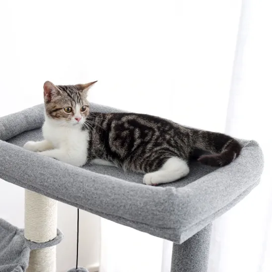 Large perch on top with wool cover