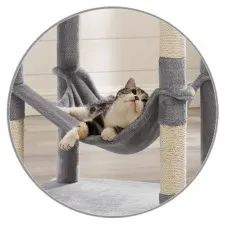 Cat Trees with Hammock