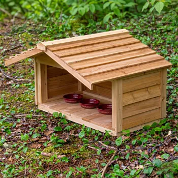 Cedar Cat Feeding Station with Extended Roof for Outside Cats