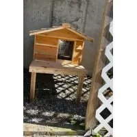 cat-house-11728048379.jpg
