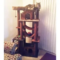 cat-tower-for-large-cats-in-brown1576514046.jpg