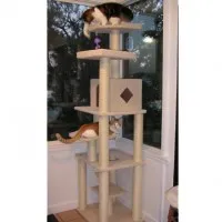 cats-play-on-cat-tower1589454719.jpg