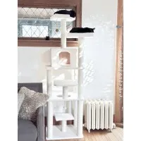 Two cats on the tower