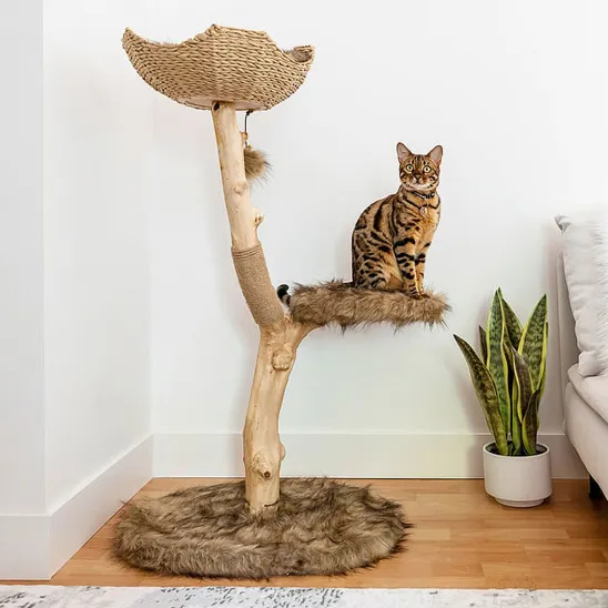 Corner cat furniture with solid wood posts in brown