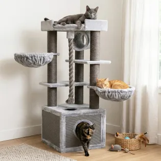 Best Cat Condo for Large Cats in Gray