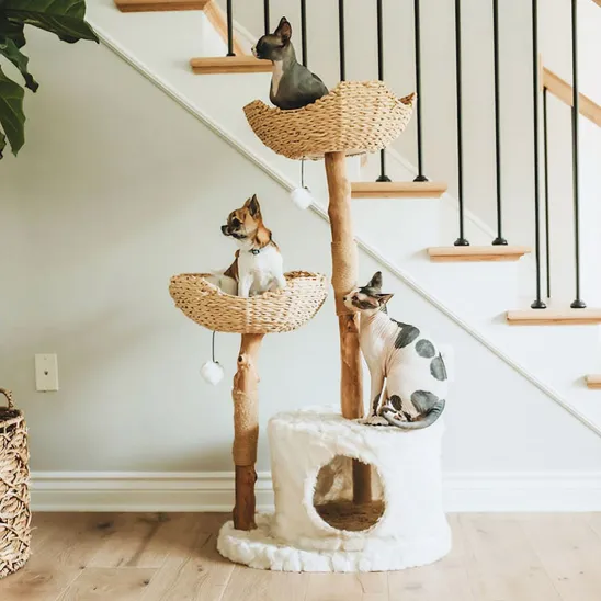 White fancy cat condo with two big baskets