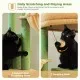 Five cat scratching post with sisal rope