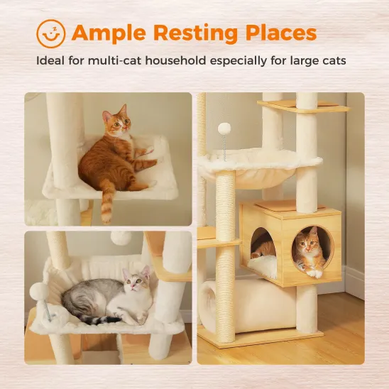 Ceiling high cat tree with multiple resting spots