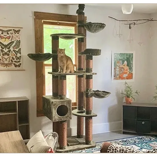 Ceiling high cat climbing tower
