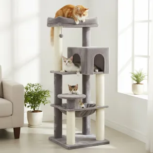 Heavy Duty Cat Condo for Big Cats with Hammock