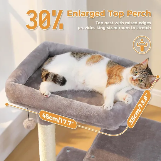 Large cat bed on top