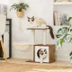 Mini Modern Furniture for Small Cats