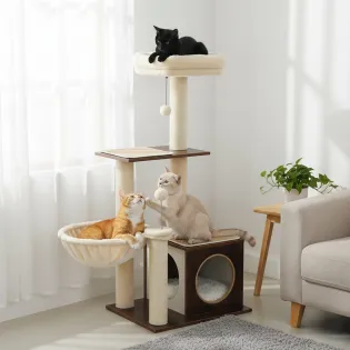 Wooden Stylish Kitty Tree with Condo, Hammock & Spring Ball