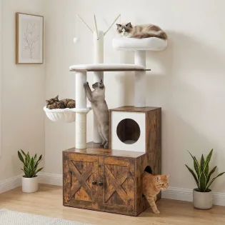 Cat Tree with Compartment for Litter Box