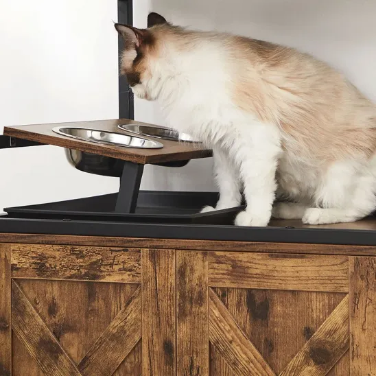 An elevated cat feeding station