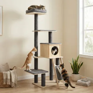 Modern Wooden Cat Tree with Hideaway & Inclined Scratcher