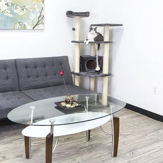 Multi-level indoor cat activity center