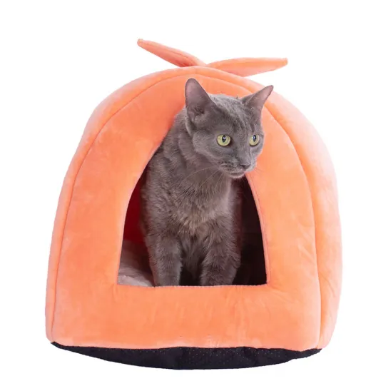 Orange cat bed