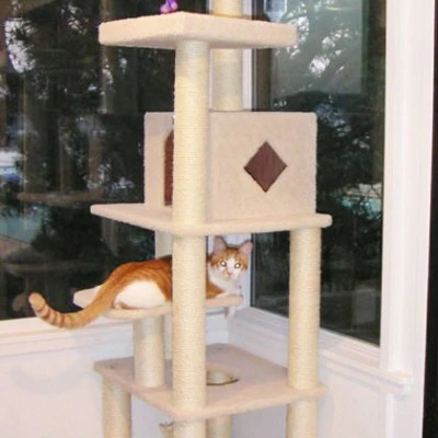 Our two cats were playing on cat tree before we even finished assembling it