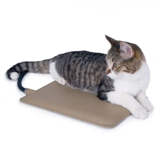 Hard Heating Pad for Outdoor Cats