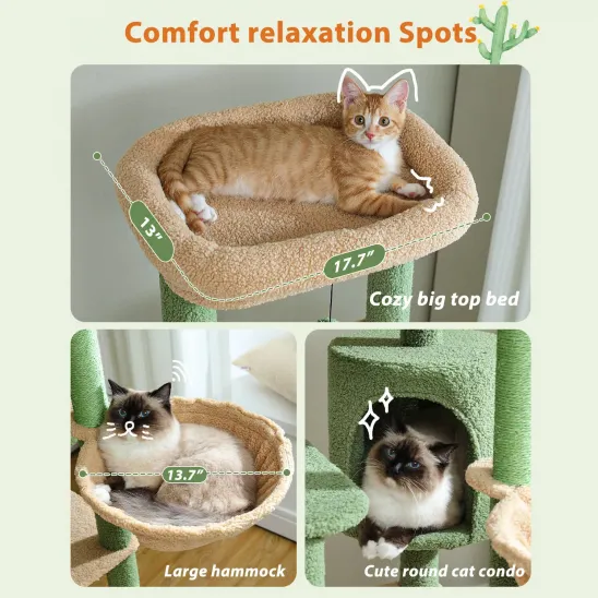 Plenty of spots for resting comfortably