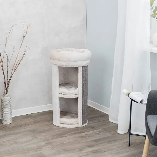 Cat condo in the corner