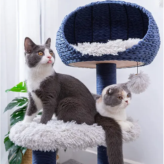 Two cats on the middle perch