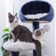 Two cats on the middle perch