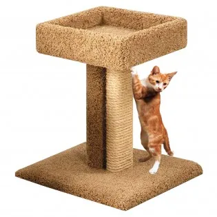 Sisal/Carpet Cat Scratcher with Bed