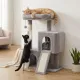Cat playground for large senior cats in Gray