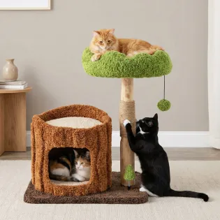 Small Fancy Cat Tree with Large Bed for Senior Cats